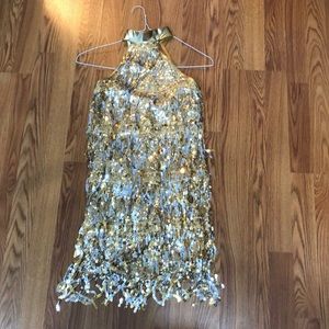 Gold and Silver Flapper Dress and costume